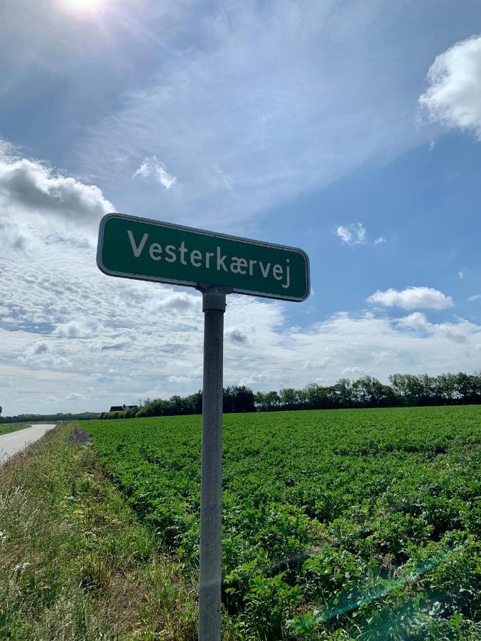 Hennebjerg Overnatning Stavso 외부 사진